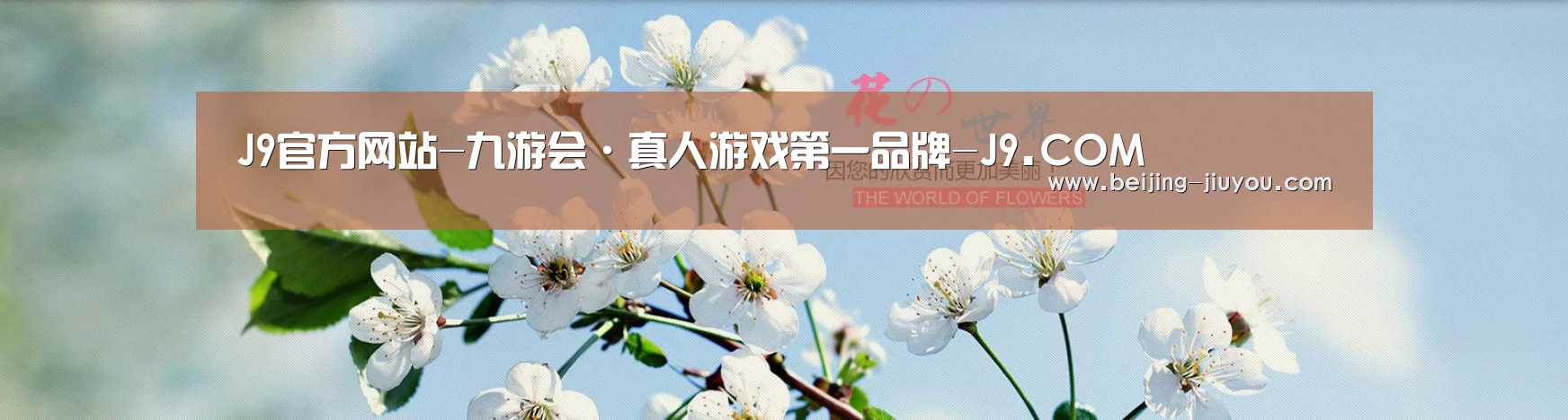 花卉园林种植展示网站模板